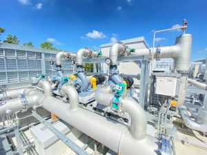 サイエイヤマト　イメージ2