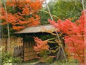 竹林と石畳の料亭　喜祥（きしょう）