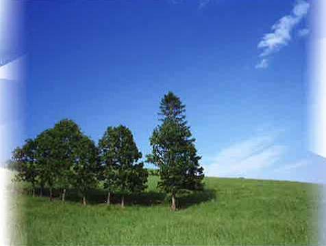 エーペックスジャパン　イメージ１